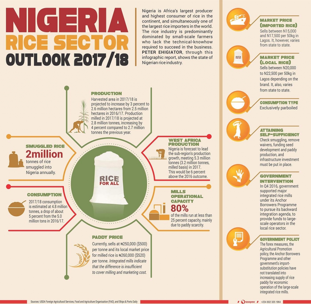 Nigerian Rice Sector Outlook 2017-2018