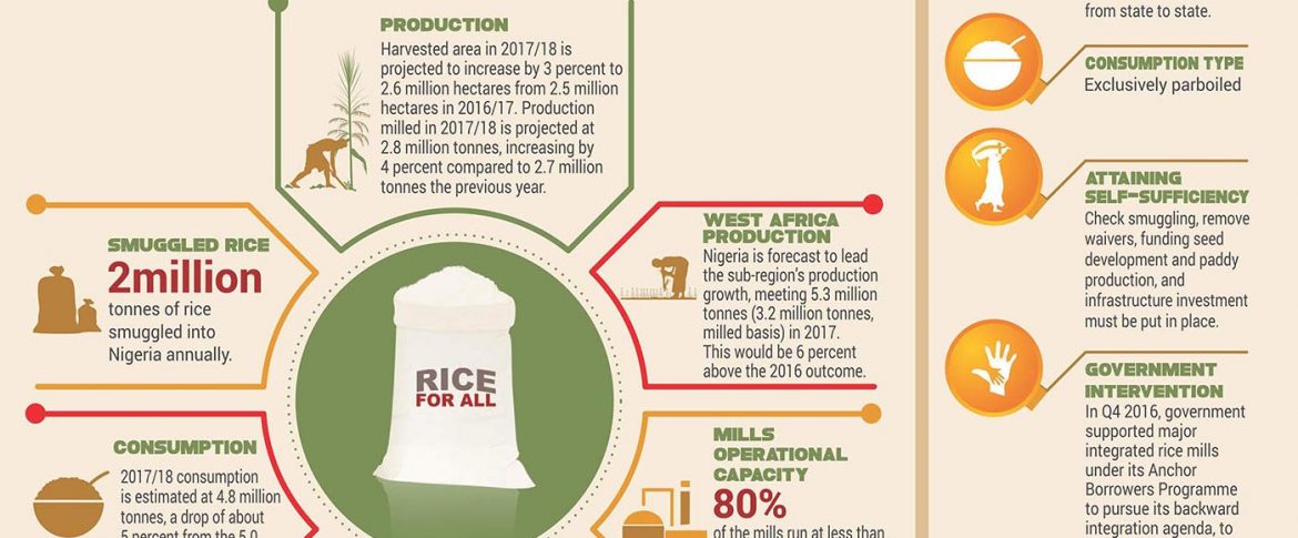 Nigerian Rice Sector Outlook 2017-2018
